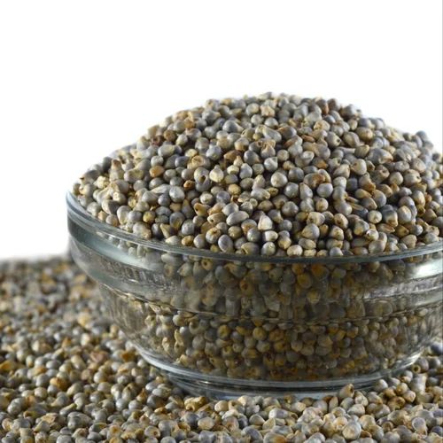 Kambu கம்பு