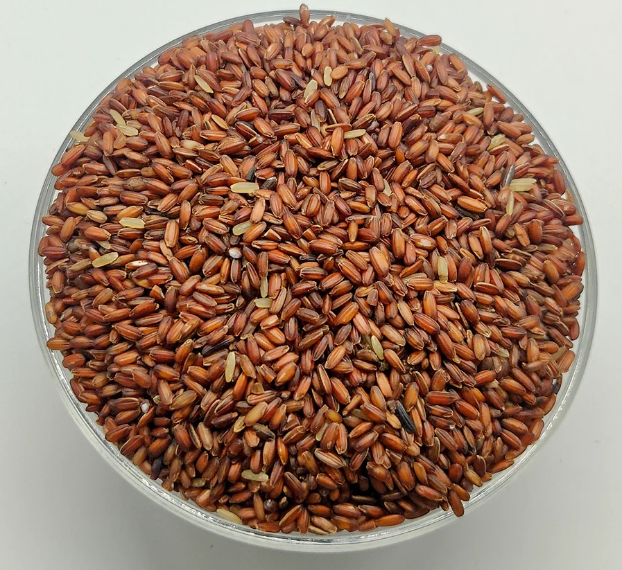 Karunguruvai கருங்குறுவை