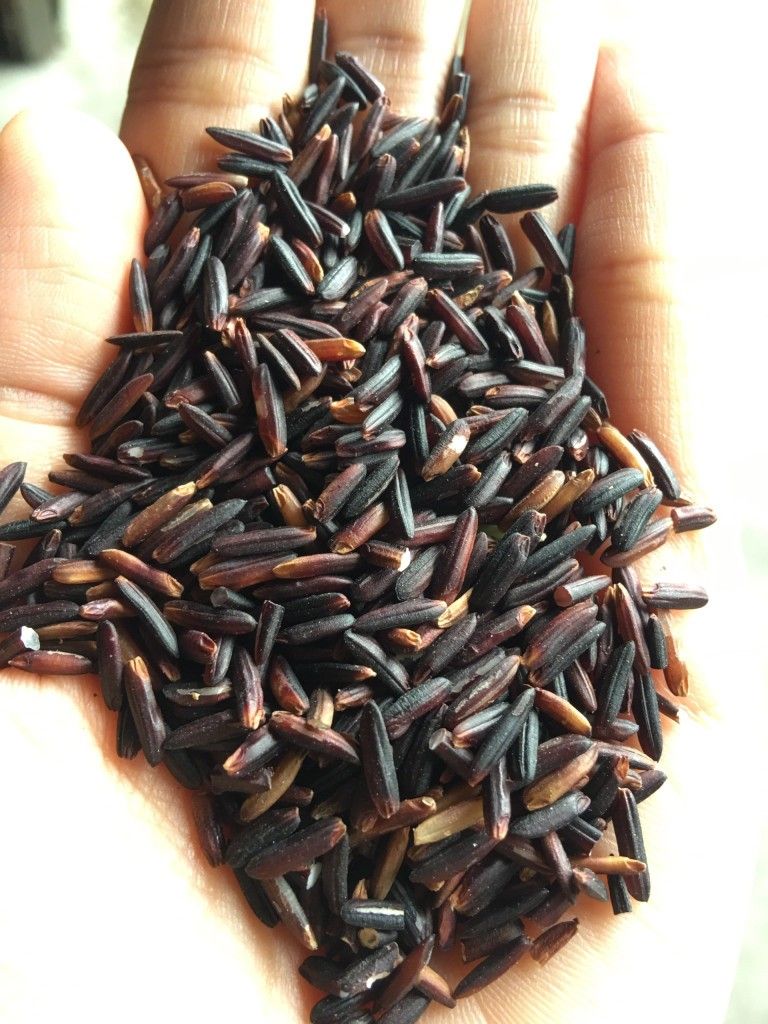 Karupu Kavuni கருப்பு கவுனி